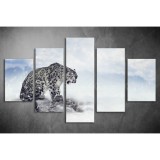 Többrészes Hópárduc vászonkép 095 - (választható formák) táv-095