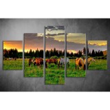 Többrészes Lovak vászonkép 055 - (választható formák) táv-055