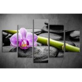 Többrészes Orchidea, Lávakövek vászonkép 023 - (választható formák) tvi-0023