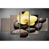 Többrészes Orchidea, Lávakövek vászonkép 049 - (választható formák) tvi-049