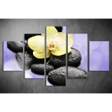 Többrészes Orchidea, Lávakövek vászonkép 050 - (választható formák) tvi-050