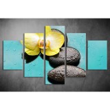 Többrészes Orchidea, Lávakövek vászonkép 051 - (választható formák) tvi-051