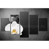 Többrészes Orchidea vászonkép 002 - (választható formák) tsfs-002