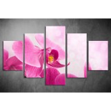Többrészes Orchidea vászonkép 002 - (választható formák) tvi-002