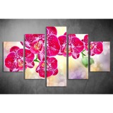 Többrészes Orchidea vászonkép 004 - (választható formák) tvi-004