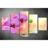 Többrészes Orchidea vászonkép 006 - (választható formák) tvi-006