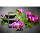 Többrészes Orchidea vászonkép 009 - (választható formák) tvi-009