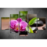 Többrészes Orchidea vászonkép 011 - (választható formák) tvi-011