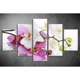 Többrészes Orchidea vászonkép 012 - (választható formák) tvi-012