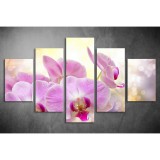 Többrészes Orchidea vászonkép 019 - (választható formák) tvi-019