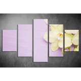 Többrészes Orchidea vászonkép 028 - (választható formák) tvi-0028