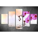 Többrészes Orchidea vászonkép 040 - (választható formák) tvi-040