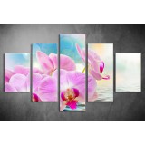 Többrészes Orchidea vászonkép 043 - (választható formák) tvi-043