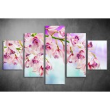 Többrészes Orchidea vászonkép 053 - (választható formák) tvi-053
