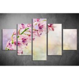 Többrészes Orchidea vászonkép 054 - (választható formák) tvi-054