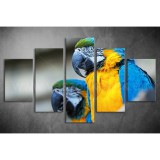 Többrészes Papagájos vászonkép 070 - (választható formák) táv-070