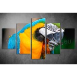 Többrészes Papagájos vászonkép 073 - (választható formák) táv-073