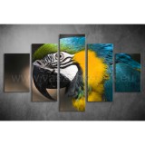 Többrészes Papagájos vászonkép 075 - (választható formák) táv-075