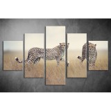 Többrészes Párducok vászonkép 087 - (választható formák) táv-087