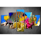 Többrészes Pillangóhal vászonkép 041 - (választható formák) táv-041