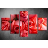 Többrészes Piros Rózsák vászonkép 021 - (választható formák) tvi-0021