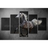 Többrészes Szürke Ló vászonkép 023 - (választható formák) táv-023