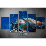 Többrészes Teknős vászonkép 063 - (választható formák) táv-063