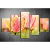 Többrészes Tulipánok vászonkép 001 - (választható formák) tav-001