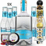 Tokaj Gin Tonic Pack