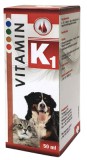 TolnAgro Kft. K1 Vitamin kutyáknak és macskáknak 50 ml