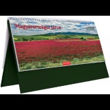 Toptimer T056 325 x 155mm 2024 Asztali naptár zöld - Magyarországot járva (24T560T-006)