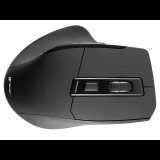 Tracer Cozy Wireless Egér - Fekete (TRAMYS46950)