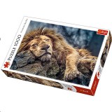 Trefl Alvó oroszlán 1000db-os prémium puzzle (10447) (Trefl 10447)
