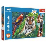 Trefl Animal Planet: Csodálatos állatok 300db-os puzzle (23007) (TR23007) - Kirakós, Puzzle