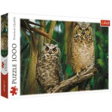 Trefl: Baglyok 1000 db-os puzzle