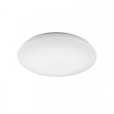 TRIO Nalida Mennyezeti Lámpa (656090101)