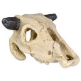 TRIXIE Állat koponya - akvárium dísz, bivaly