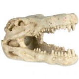 TRIXIE Állat koponya - akvárium dísz, krokodil