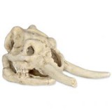 TRIXIE Állat koponya - akvárium dísz, mamut