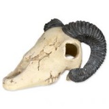 TRIXIE Állat koponya - akvárium dísz, muflon