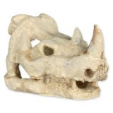 TRIXIE Állat koponya - akvárium dísz, orrszarvú