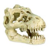 TRIXIE Állat koponya - akvárium dísz, saurian
