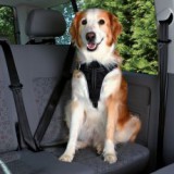 TRIXIE Biztonsági öv autóba kutyáknak - L