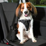 TRIXIE Biztonsági öv autóba kutyáknak S/M