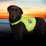 TRIXIE Fényvisszaverő mellény kutyák számára - L