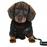 TRIXIE Hám és póráz kutyák számára - fekete