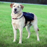 TRIXIE Hám kutyáknak táskáva, L - XL - 31 x 17 cm