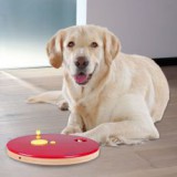 TRIXIE Játék kutyának, stratégiai - 29x2,5cm