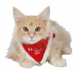 Trixie Kendö Karácsonyi Nagy 45-55cm