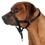 TRIXIE Kiképző kutyahám - XL, 40 cm